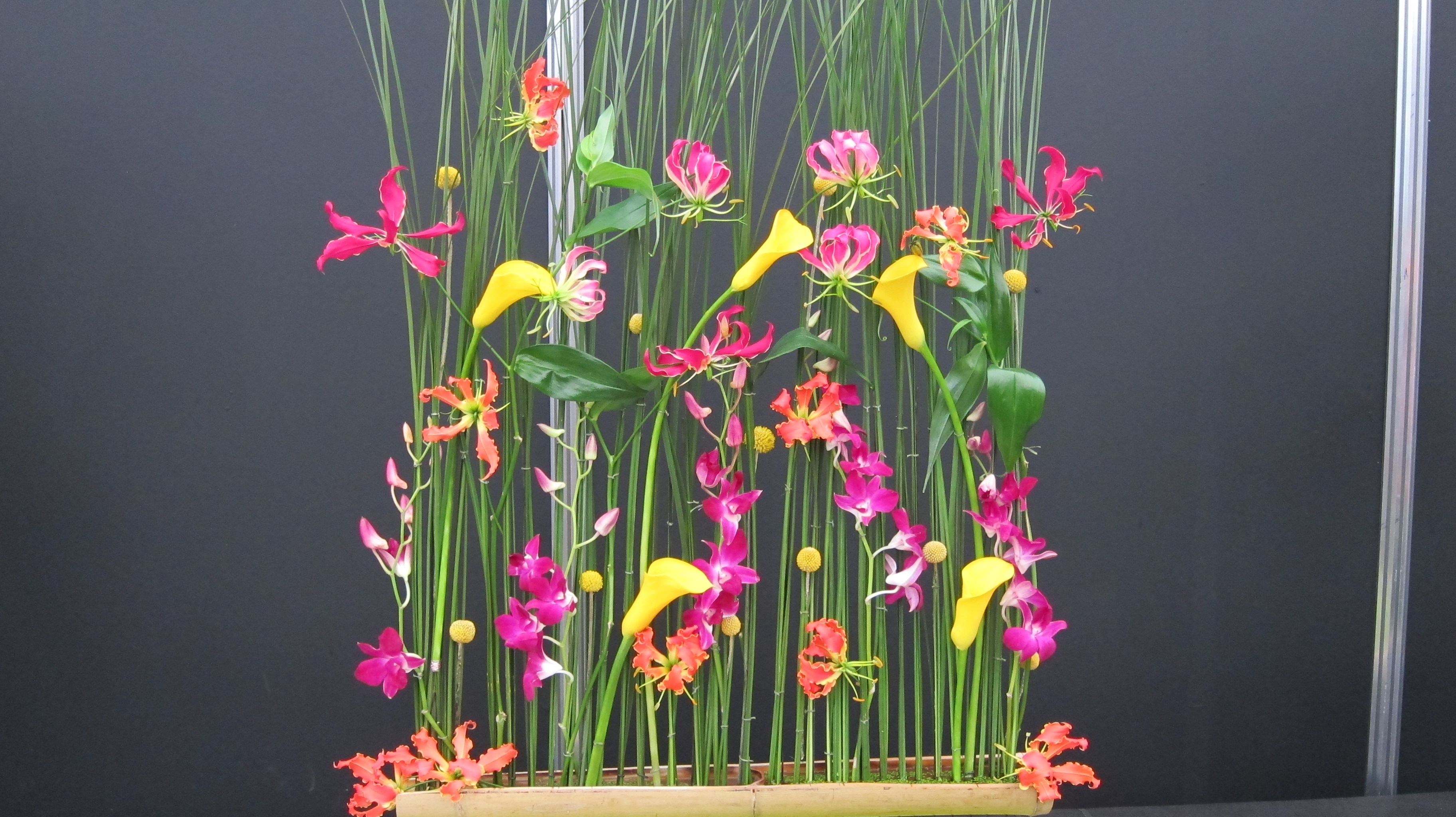 Floral display